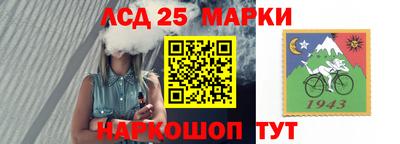 спайс Аргун